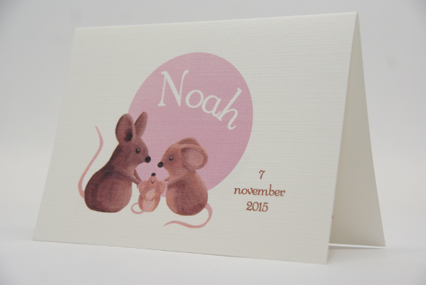 geboortekaartje noah lichtroze